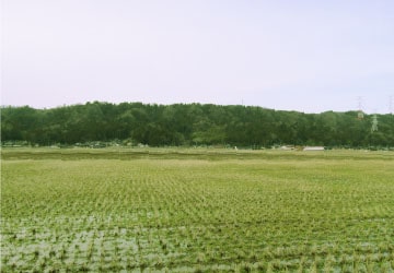 みつばちファーム眉丈 イメージ