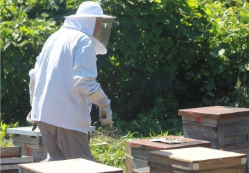 みつばちファーム眉丈 イメージ