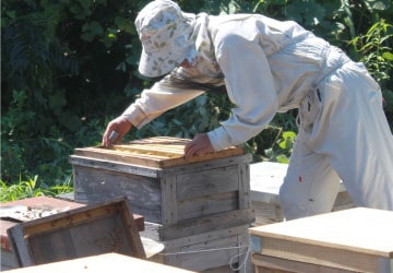 みつばちファーム眉丈 イメージ