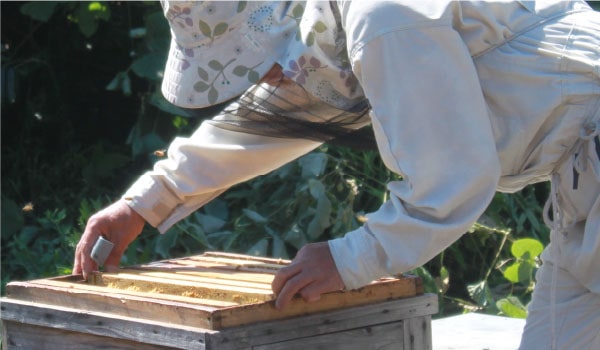 みつばちファーム眉丈（びじょう）生産者の想い