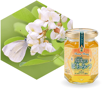 みつばちファーム眉丈（びじょう）国産天然はちみつ千里浜 アカシア蜜