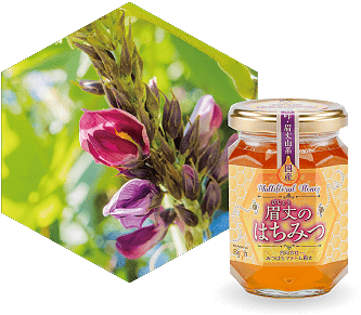 みつばちファーム眉丈（びじょう）国産天然はちみつ鹿島路 羽咋・眉丈山系 百花蜜